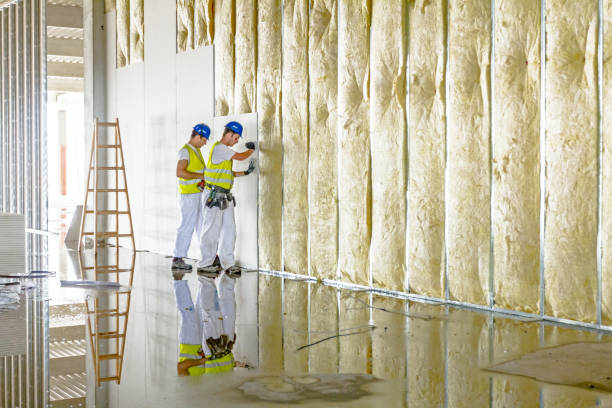 Best Crawl Space Insulation  in Timberville, VA